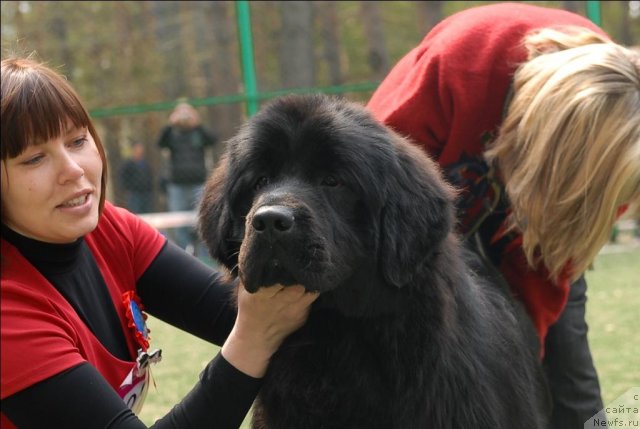 Фотография № 65361