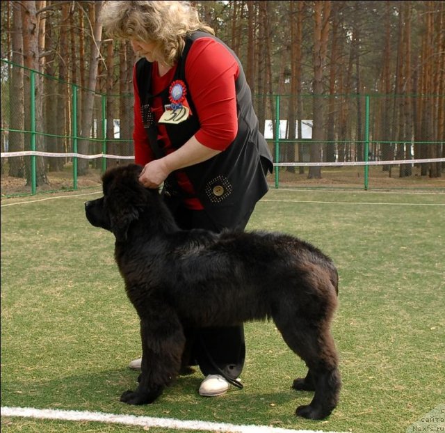 Фотография № 65363