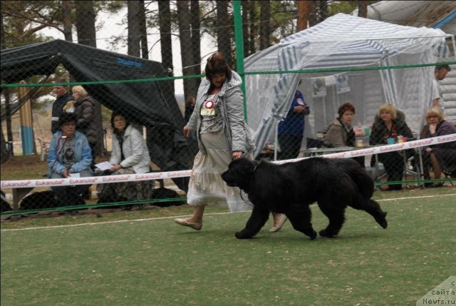 Фотография № 65368