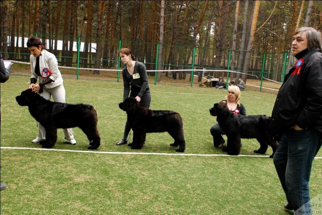 Фотография № 65369