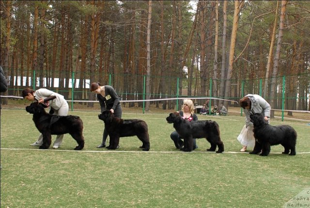 Фотография № 65370