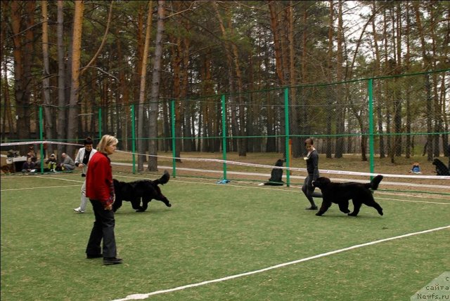 Фотография № 65371