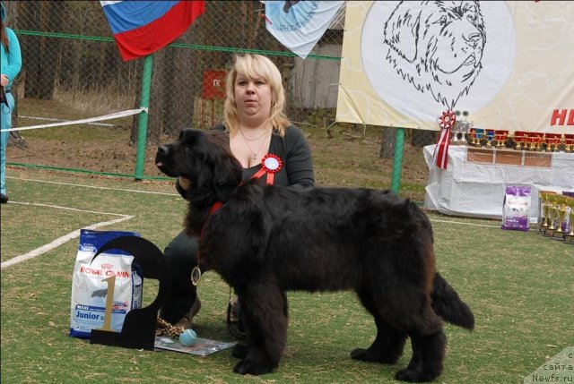 Фотография № 65372