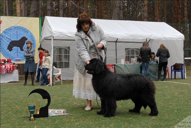 Фотография № 65376