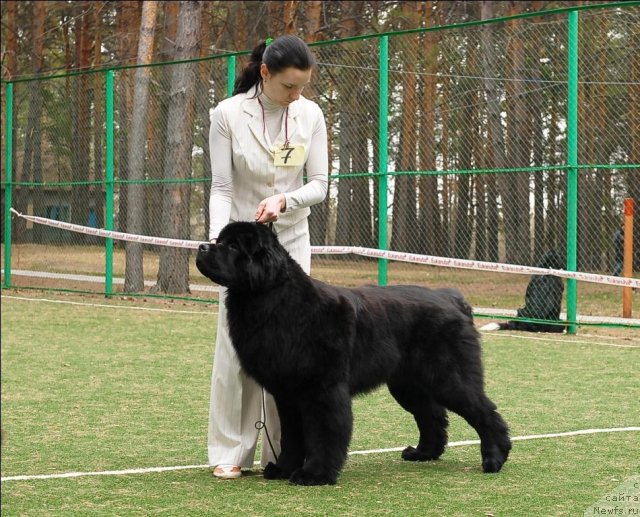 Фотография № 65379