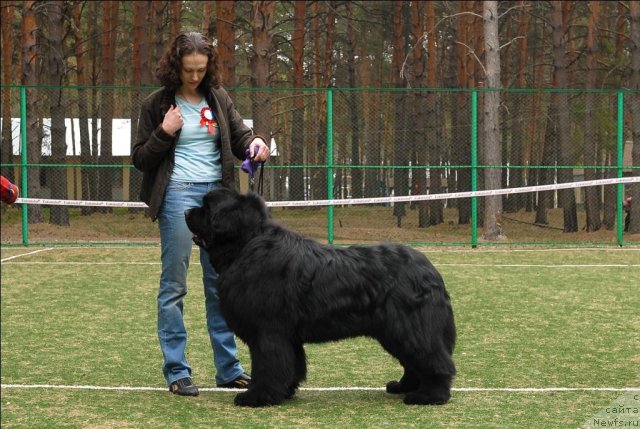 Фотография № 65381