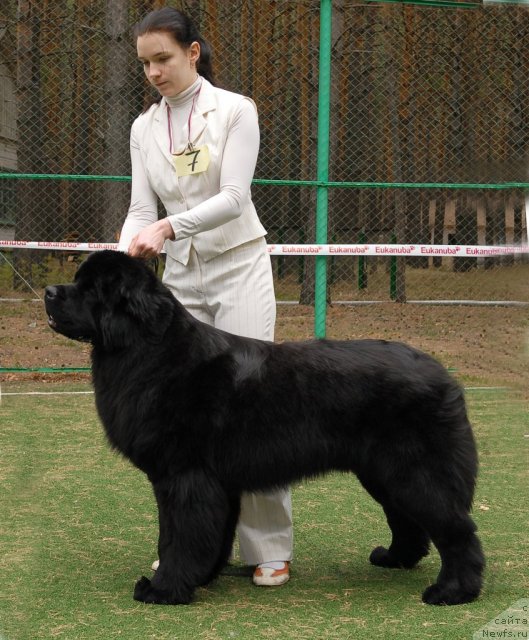 Фотография № 65383