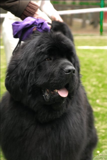 Фотография № 65386