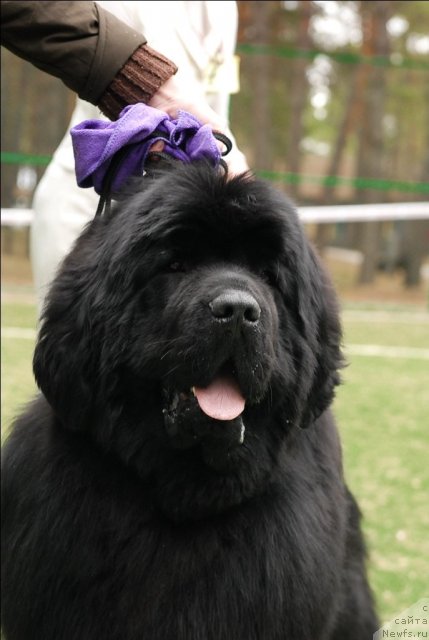 Фотография № 65387