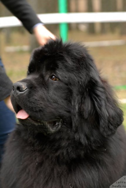 Фотография № 65389