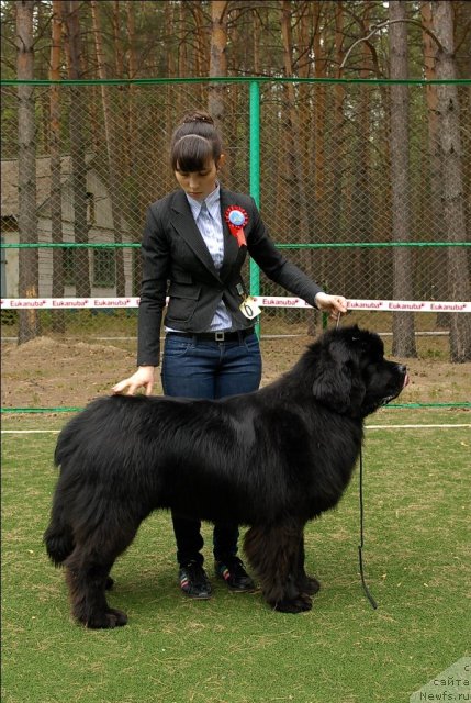 Фотография № 65392