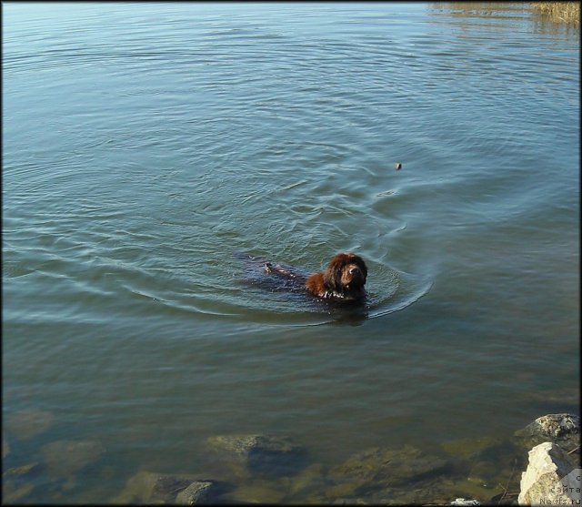 Фотография № 65425