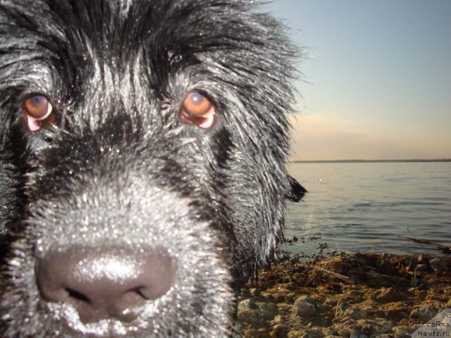 Фотография № 65448