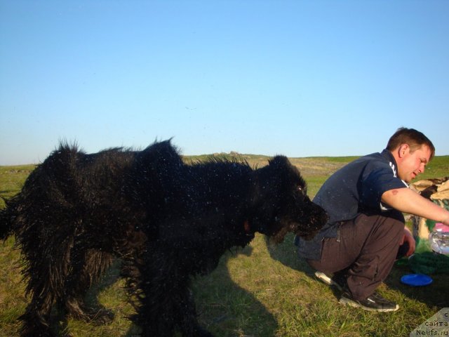 Фотография № 65455