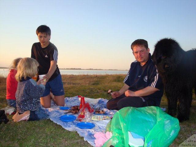 Фотография № 65456