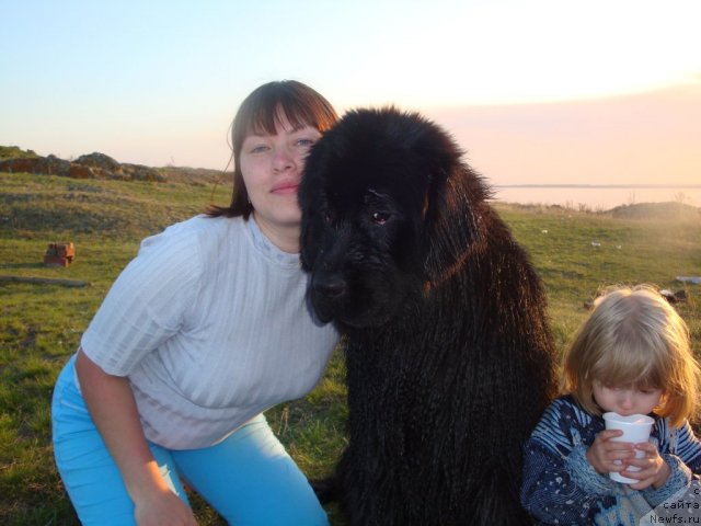 Фотография № 65459