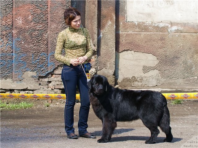 Фотография № 65465