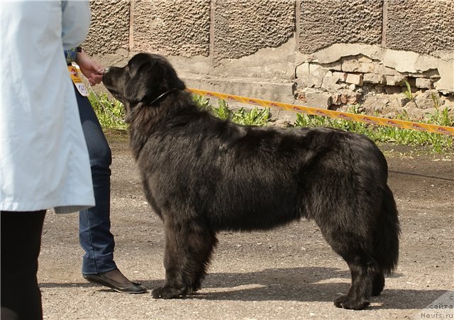 Фотография № 65466