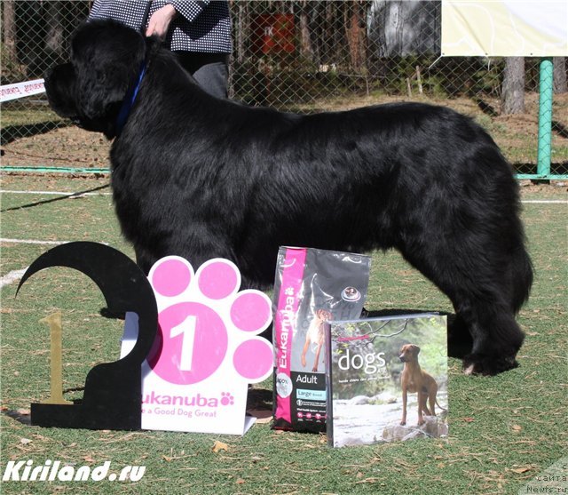 Фотография № 65469