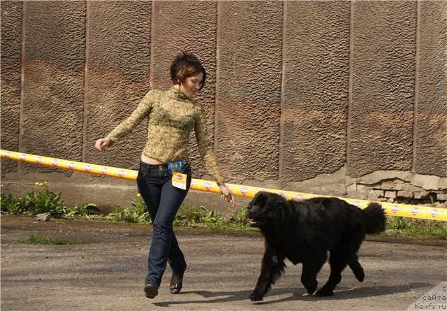 Фотография № 65500