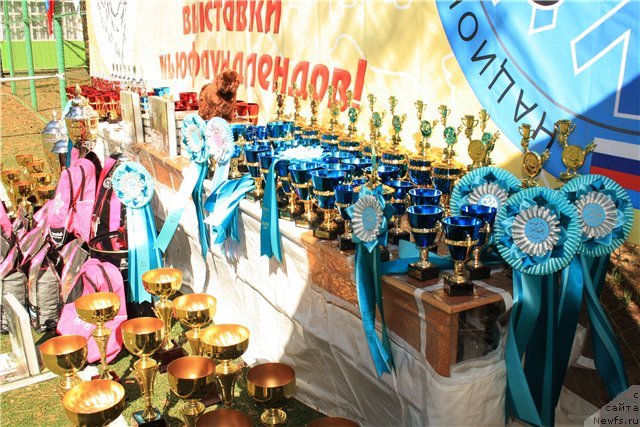 Фотография № 65519