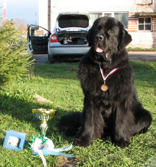 Фотография № 65531