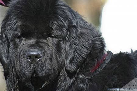 Фотография № 65549