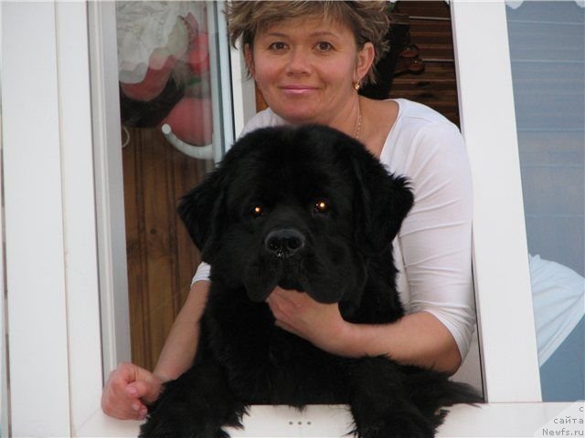 Фотография № 65550