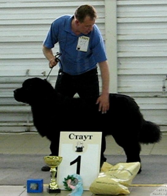 Фотография № 65552