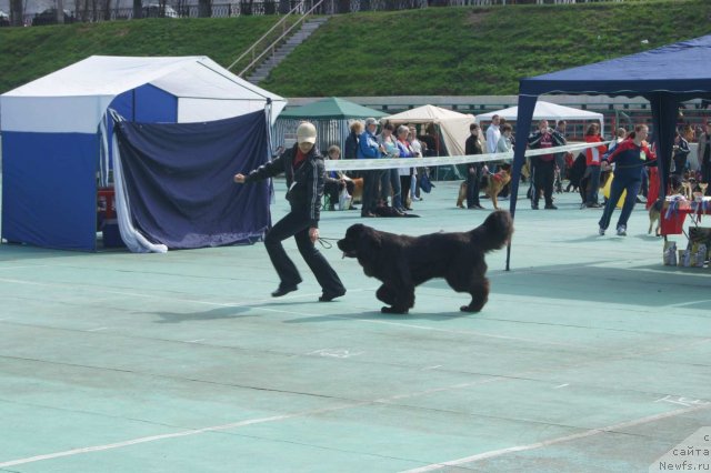 Фотография № 65605