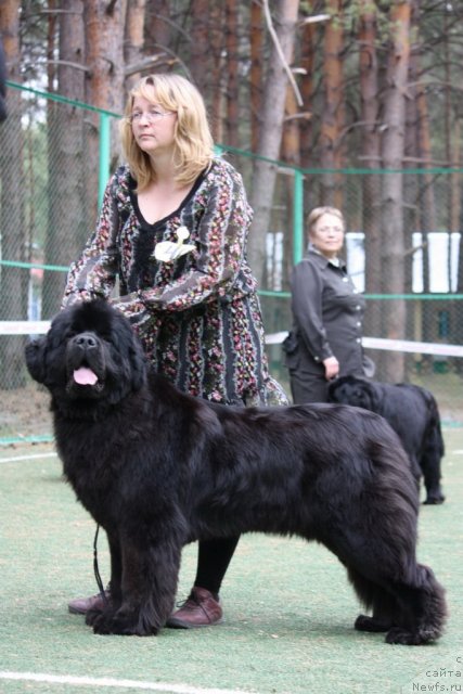 Фотография № 65665