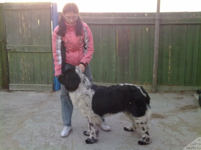 Фотография № 65670