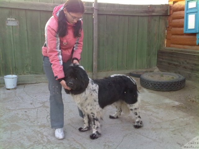 Фотография № 65671