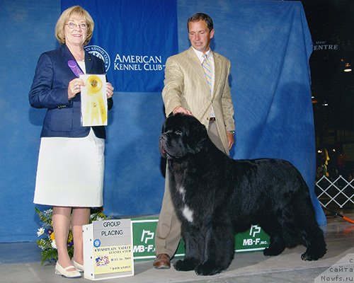 Фотография № 65673