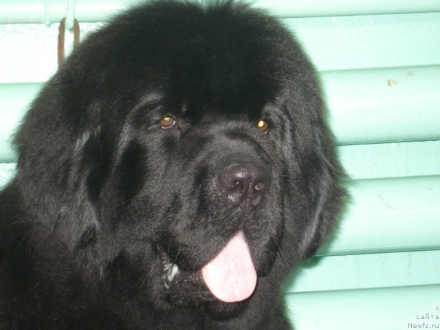 Фотография № 65675