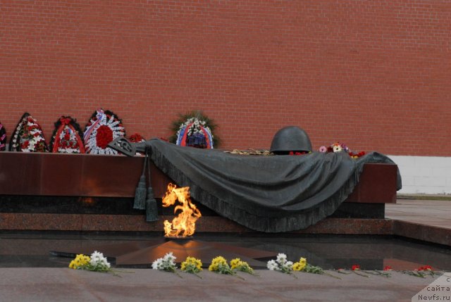 Фотография № 65687