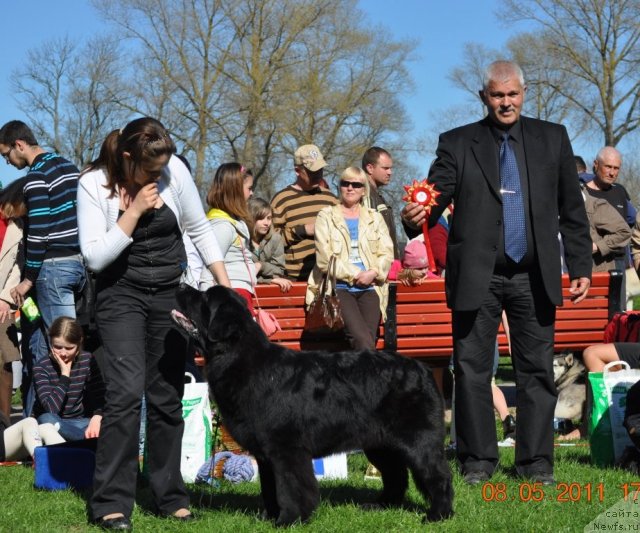 Фотография № 65698