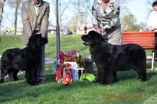 Фотография № 65704