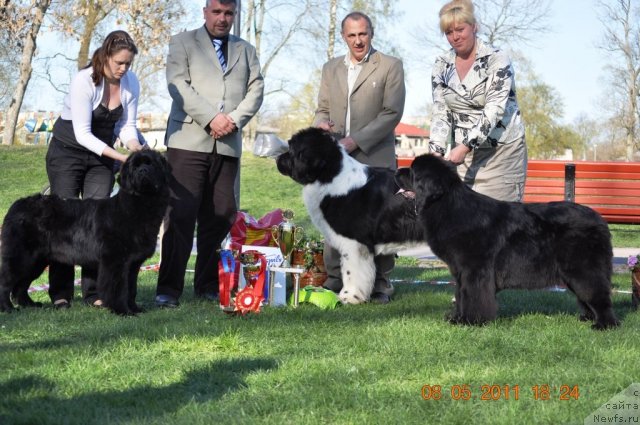 Фотография № 65706