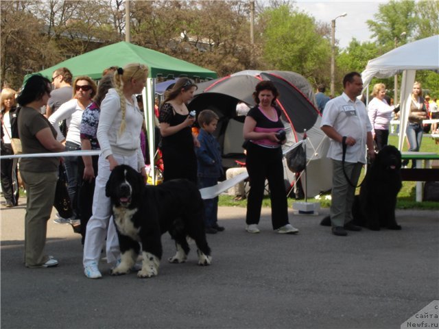 Фотография № 65715