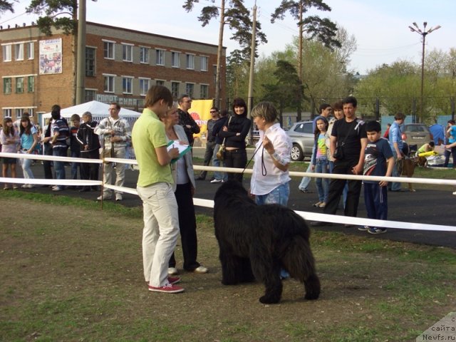 Фотография № 65716