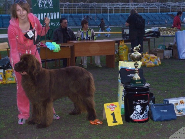 Фотография № 65723