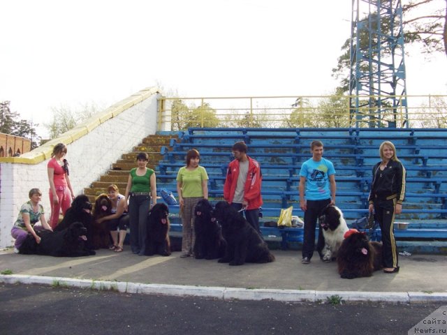 Фотография № 65729