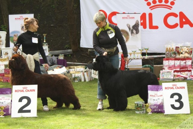 Фотография № 65752