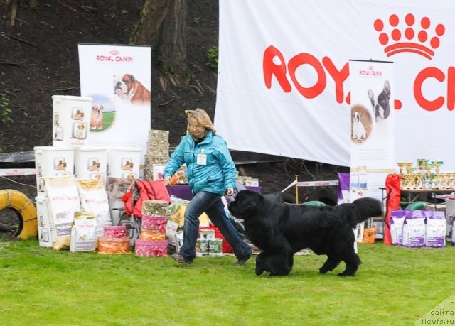 Фотография № 65761