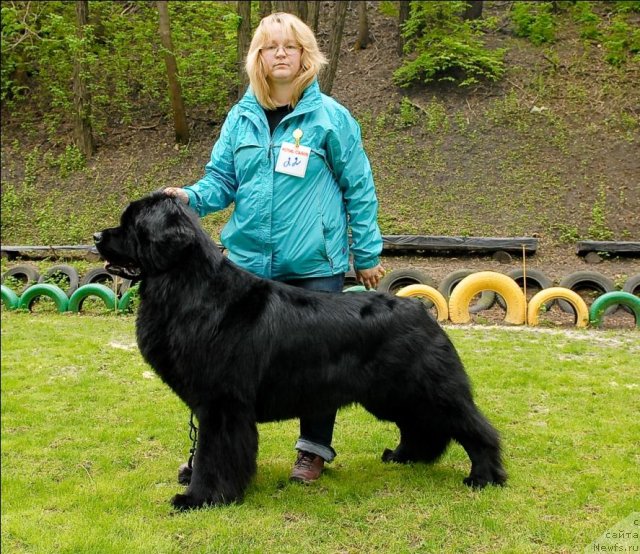 Фотография № 65763