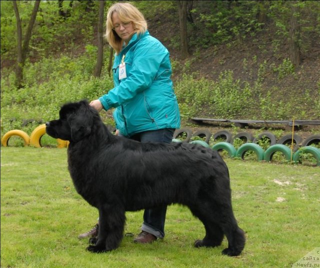 Фотография № 65769