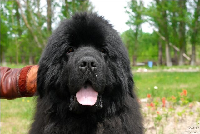 Фотография № 65788