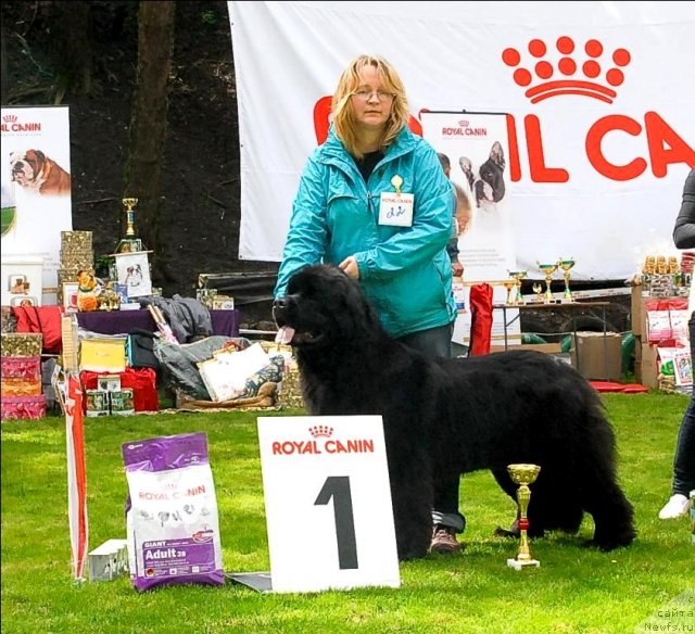 Фотография № 65797