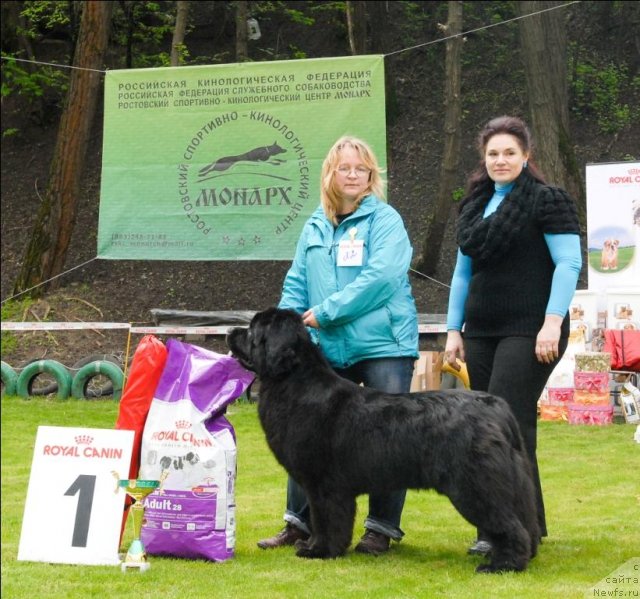 Фотография № 65798